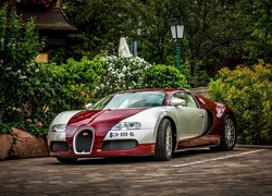 Bugatti Veyron, Auto, Posesja, Dom