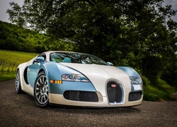 Bugatti Veyron, Droga, Drzewa