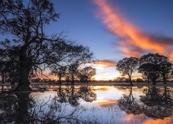 Drzewa, Odbicie, Staw, Coonawarra, Australia, Zachód, Słońca