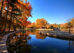 Park, Jesień, Drzewa