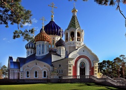 Cerkiew, Sosny