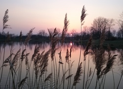 Jezioro, Zachód Słońca
