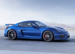 Porsche, Cayman GT4