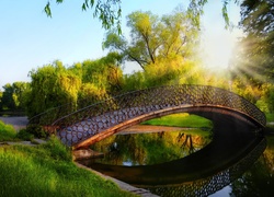 Park, Rzeka, Most, Drzewa, Promienie Słońca