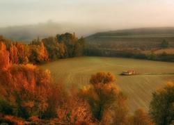 Jesień, Pola, Las, Mgła