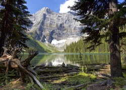 Jezioro Rawson, Alberta, Kanada, Góry, Lasy, Drzewa