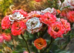 Różę, Kwiaty, Fractalius