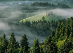 Góry, Lasy, Mgła, Domy, Alpy, Tyrol, Austria