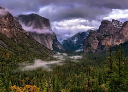 Stany Zjednoczone, Stan Kalifornia, Park Narodowy Yosemite, Góry, Lasy, Chmury