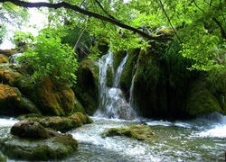 Wodospad, Skały, Drzewa, Plitvice