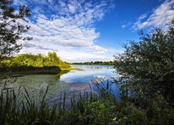 Rzeka Great Ouse, Cambridgeshire, Anglia