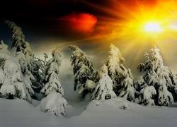Zima, Las, Śnieg, Zachód słońca