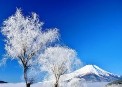 Góra, Fuji, Wulkan