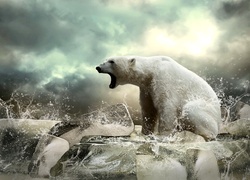 Niedźwiedź, Polarny, Rozbryzgująca, Woda