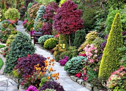 Ogród, Kolorowe, Krzewy, Kwiaty, Alejka, Ławka
