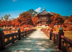Pałac, Most, Góra, Rzeka, Seul, Korea, Południowa, Jesień