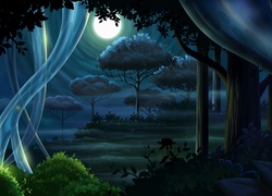 Noc, Księżyc, Drzewa, Rośliny