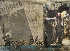 Gary Oldman,sirius black