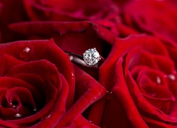 Róże, Czerwone, Pierścionek, Diament