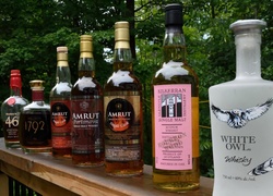 Alkohol, Whisky, Półka, Ogród