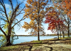 Jesień, Park, Kolorowe Drzewa, Jezioro, Krajobraz