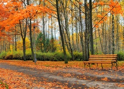 Park, Droga, Drzewa, Ławka, Liście, Jesień