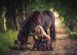 Droga, Koń, Dziewczyna