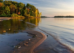 Jezioro, Brzeg, Las, Jesień