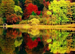 Jezioro, Las, Kolorowe, Drzewa, Domek, Jesień