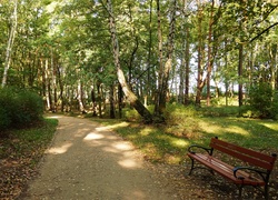 Park, Drzewa, Alejka, Ławka