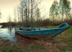 Bagno, Łódź, Drzewa, Jesień