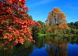 Park, Staw, Jesień, Kolorowe Drzewa