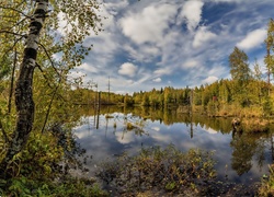 Jezioro, Las, Jesień