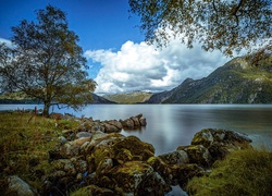 Norwegia, Jezioro, Góry, Kamienie, Drzewa
