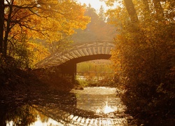 Jesień, Park, Mostek