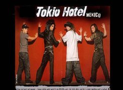 Tokio Hotel,zespół