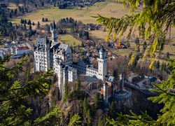 Niemcy, Bawaria, Zamek Neuschwanstein, Lasy