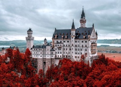 Niemcy, Bawaria, Zamek Neuschwanstein, Skały, Lasy, Drzewa