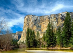 Stany Zjednoczone, Stan Kalifornia, Park Narodowy Yosemite, Góry, Drzewa