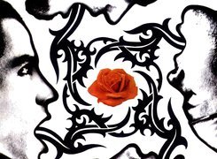 Red Hot Chili Peppers,róża , twarz