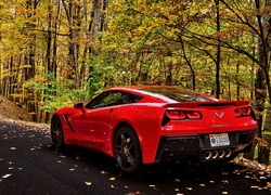 Chevrolet Corvette, Las, Droga, Liście, Jesień