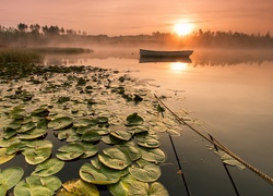 Jezioro, Wschód, Słońca, Łódka, Mgła, Lilie, Wodne