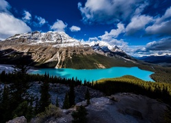 Jezioro Peyto Lake, Góry, Park Narodowy Banff, Prowincja Alberta, Kanada