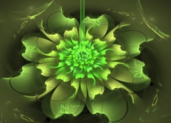 Zielony, Kwiat, Abstrakcja