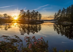 Norwegia, Wschód Słońca, Jezioro, Drzewa