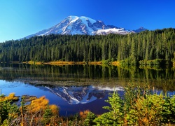 Stany Zjednoczone, Stan Waszyngton, Park Narodowy Mount Rainier, Góry, Las, Jezioro