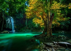 Wodospad, Rzeka, Drzewo, Park Narodowy Erawan, Tajlandia