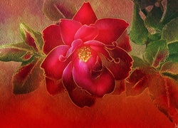 Piękna Róża, Liście Światło, Tekstura