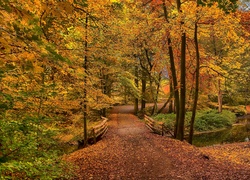 Jesień, Park