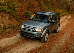 Land Rover, Discovery, Jesień, Las, Droga